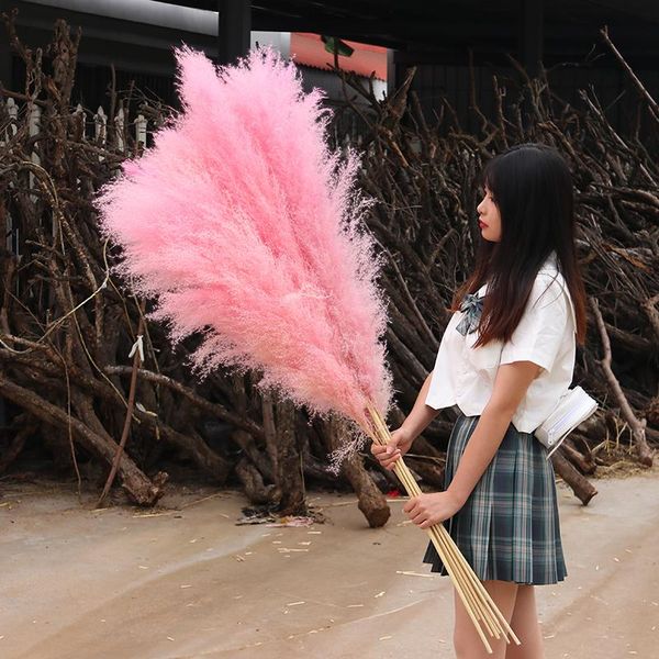 decorative flowers & wreaths 150cm natural plants reed dried flower pampas grass large wedding home decoration modern family bouquet fast
decorative flowers & wreaths 150cm natural plants reed dried flower pampas grass large wedding home decoration modern family bouquet fast
