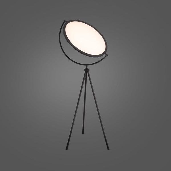 light luxury black led floor lamp design branch standing lamp, nordic living room bedroom artist home decoration lamps
light luxury black led floor lamp design branch standing lamp, nordic living room bedroom artist home decoration lamps