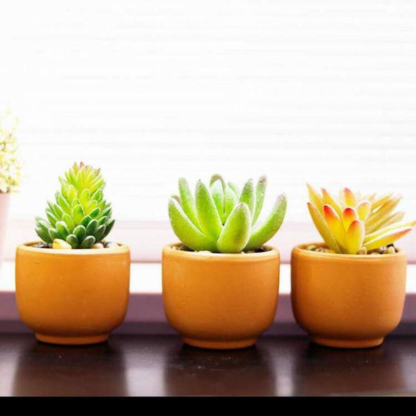 decorative flowers & wreaths direct sales simulation succulent bonsai plant cafe window sill entrance creative decoration fake green small p
decorative flowers & wreaths direct sales simulation succulent bonsai plant cafe window sill entrance creative decoration fake green small p