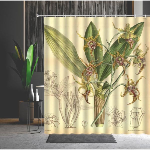 flowers shower curtain orchid green leaf spring natural landscape bathtub screen bathroom accessories with hook bath curtains 
flowers shower curtain orchid green leaf spring natural landscape bathtub screen bathroom accessories with hook bath curtains
