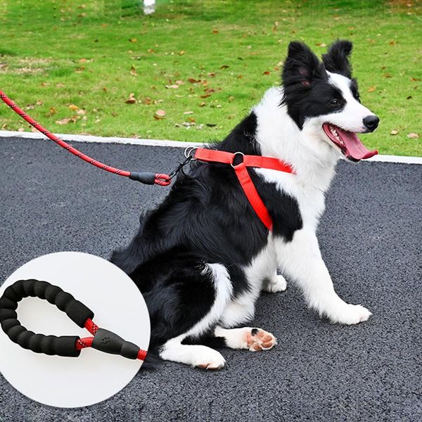 reflective small medium dog traction rope for leash tactical explosion-proof foam cotton handle belt collars & leashes
reflective small medium dog traction rope for leash tactical explosion-proof foam cotton handle belt collars & leashes
