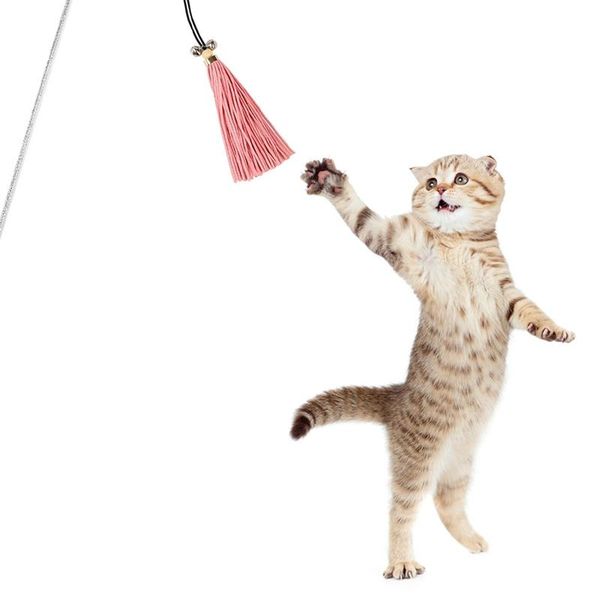 cat toys teaser tassel wand toy acrylic rod elastic string with bell interactive pet toy(color random) exerciser training
cat toys teaser tassel wand toy acrylic rod elastic string with bell interactive pet toy(color random) exerciser training