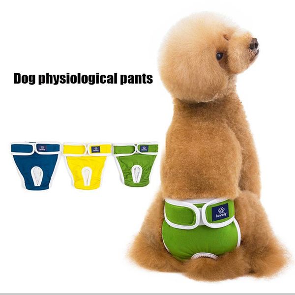 dog apparel diapers physiological pants washable female shorts soft girl dogs pets underwear sanitary panties s-2xl
dog apparel diapers physiological pants washable female shorts soft girl dogs pets underwear sanitary panties s-2xl