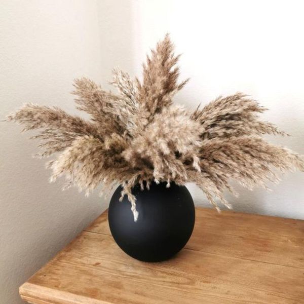 55cm wedding flowers pampas grass large size fluffy for home christmas decor natural plants white dried decorative & wreaths
55cm wedding flowers pampas grass large size fluffy for home christmas decor natural plants white dried decorative & wreaths