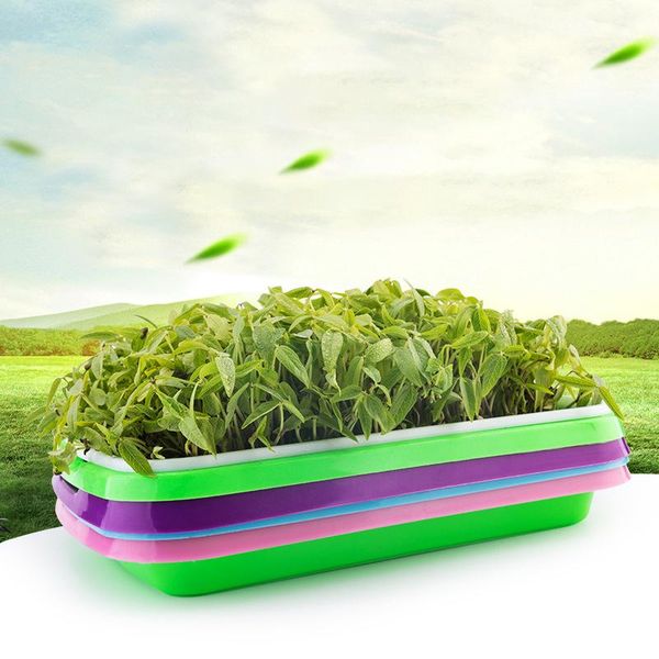 planters & pots seed sprouter tray double-layer seedling hydroponic flower basket plant garden nursery bean accessories
planters & pots seed sprouter tray double-layer seedling hydroponic flower basket plant garden nursery bean accessories