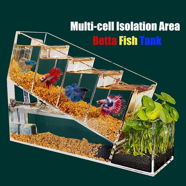 aquariums acrylic betta fish tank multi-cell isolation area self-circulating filtration water-ecological aquarium kids gifts
aquariums acrylic betta fish tank multi-cell isolation area self-circulating filtration water-ecological aquarium kids gifts