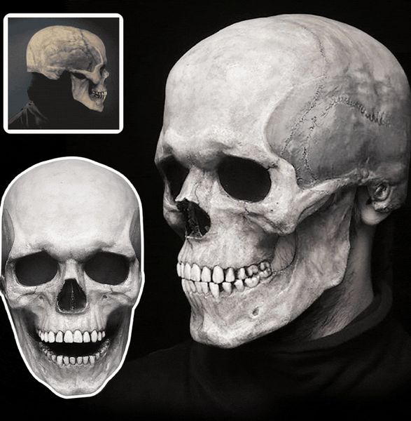 dhl halloween movable jaw full head skull mask decoration scary helmet masquerade holiday party gift
dhl halloween movable jaw full head skull mask decoration scary helmet masquerade holiday party gift