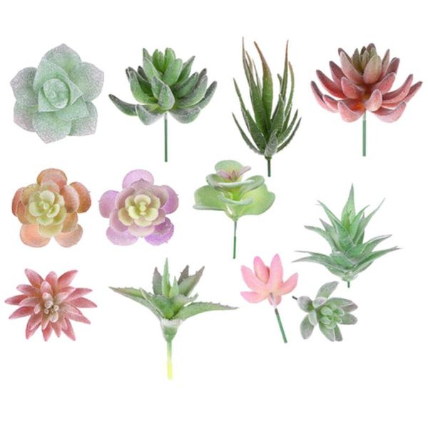 decorative flowers & wreaths 12 pcs/set artificial succulents fake mini pvc simulated floral plants craft home office decor garden decoratio
decorative flowers & wreaths 12 pcs/set artificial succulents fake mini pvc simulated floral plants craft home office decor garden decoratio