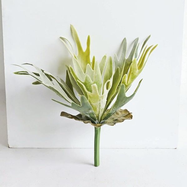 decorative flowers & wreaths artificial green plant 30cm staghorn grass, flocking succulent, fern leaf fake grass potted plant,plant wall, m
decorative flowers & wreaths artificial green plant 30cm staghorn grass, flocking succulent, fern leaf fake grass potted plant,plant wall, m