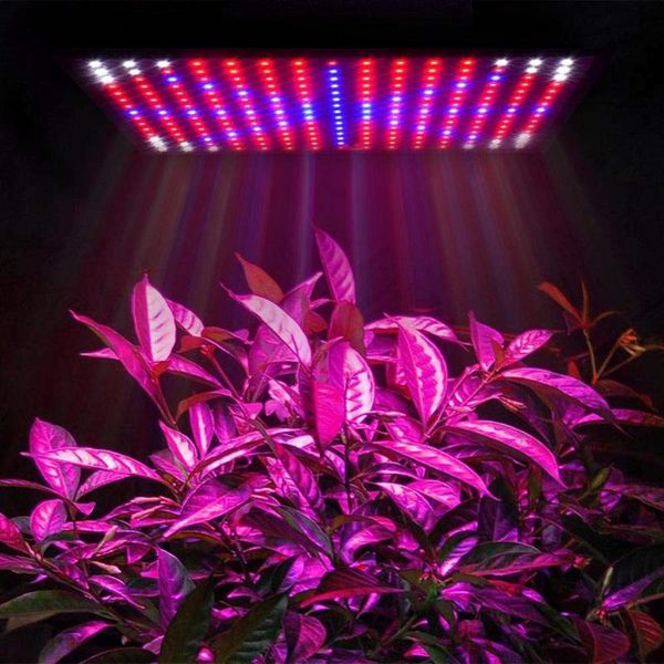 grow light blue & red white orange lamp ultrathin panel hydroponics indoor plant veg flower ac85-265v lights
grow light blue & red white orange lamp ultrathin panel hydroponics indoor plant veg flower ac85-265v lights