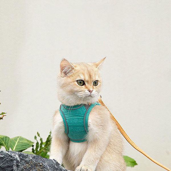 cat collars & leads adjustable comfort no pull puppy harness + leash set training walking pet chest strap for cats dogs outdoor
cat collars & leads adjustable comfort no pull puppy harness + leash set training walking pet chest strap for cats dogs outdoor