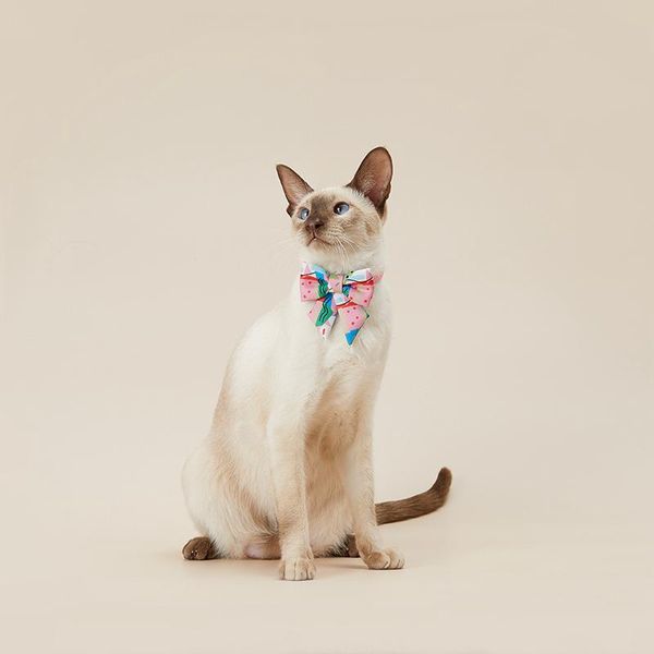 genuine petkit pet bow-knot accessories cat dog supplies bow tie collar cute scarf ornament costumes
genuine petkit pet bow-knot accessories cat dog supplies bow tie collar cute scarf ornament costumes