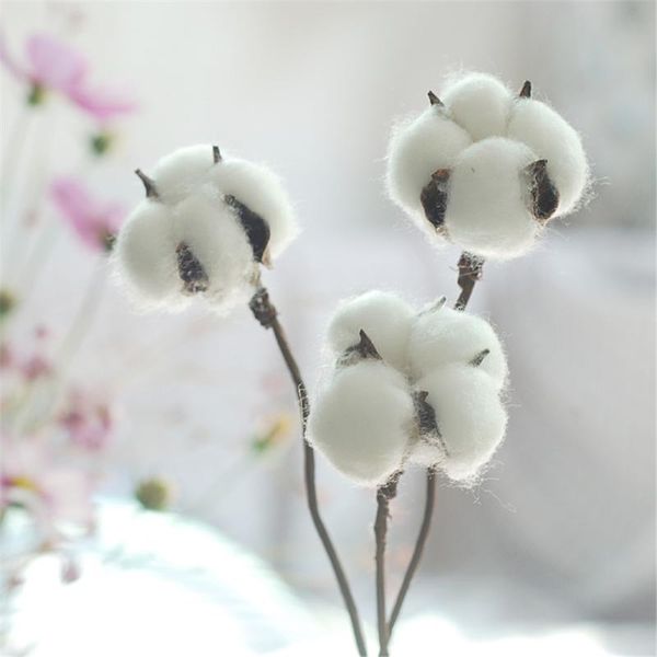 decorative flowers & wreaths 6 pcs dried natural cotton branch small plants stems flores secas for home wedding party decoration 
decorative flowers & wreaths 6 pcs dried natural cotton branch small plants stems flores secas for home wedding party decoration