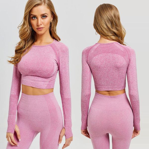 women seamless yoga set fitness sports suits gym clothing long sleeve crop shirts high waist running leggings workout pants outfit
women seamless yoga set fitness sports suits gym clothing long sleeve crop shirts high waist running leggings workout pants outfit