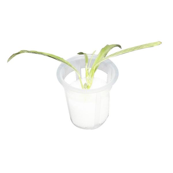 planters & pots 30 * 35mm orchid plastic 50pcs soilless cultivation equipment hydroponic
planters & pots 30 * 35mm orchid plastic 50pcs soilless cultivation equipment hydroponic