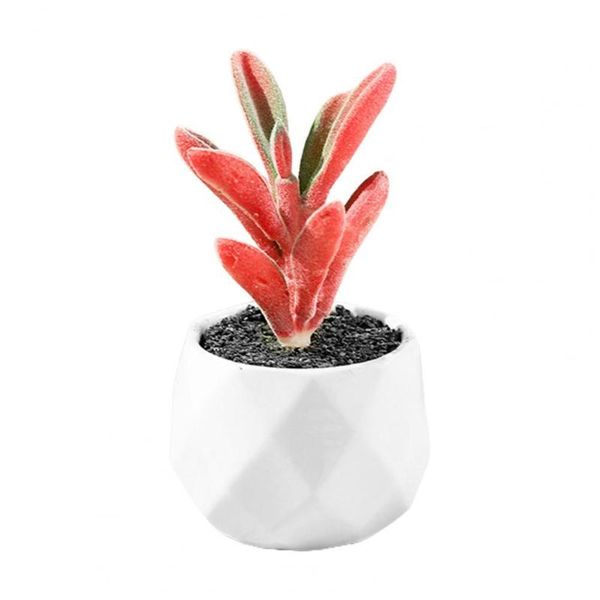 ornamental artificial bonsai beautiful nice-looking realistic multilayer succulent plant for home decorative flowers & wreaths
ornamental artificial bonsai beautiful nice-looking realistic multilayer succulent plant for home decorative flowers & wreaths