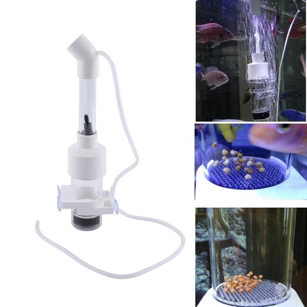 aquariums aquarium fish incubator tumbler hatchery tank cichlids egg nursery mouth-brooding aquatic breeding box
aquariums aquarium fish incubator tumbler hatchery tank cichlids egg nursery mouth-brooding aquatic breeding box