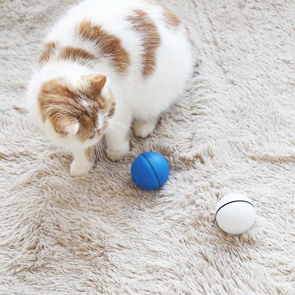 cat toys electronic 360 degree self rotating ball automatic rolling led light pet
cat toys electronic 360 degree self rotating ball automatic rolling led light pet