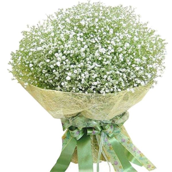 decorative flowers & wreaths 6pcs artificial baby's breath fake silk flower home wedding garden decor
decorative flowers & wreaths 6pcs artificial baby's breath fake silk flower home wedding garden decor