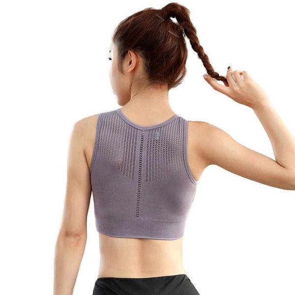 gym clothing women sports bra high impact push up hollow yoga running workout seamless brassiere active wear athletic for fitness, White;black
gym clothing women sports bra high impact push up hollow yoga running workout seamless brassiere active wear athletic for fitness, White;black