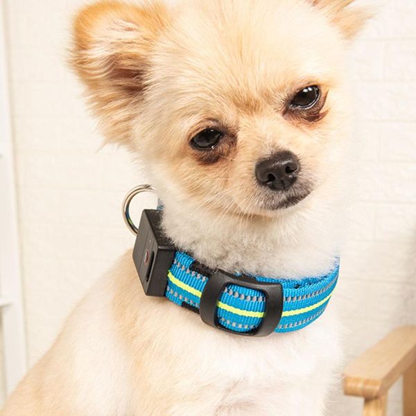 ocardian dog collars reflective strip waterproof charging light led dogs collar harness perro coleira 2021 drop ship & leashes
ocardian dog collars reflective strip waterproof charging light led dogs collar harness perro coleira 2021 drop ship & leashes