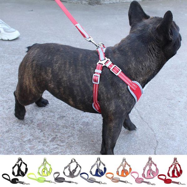 pet chest strape adjustable harness leash set dog canvas strap vest reflective traction rope outdoor walking supplies collars & leashes
pet chest strape adjustable harness leash set dog canvas strap vest reflective traction rope outdoor walking supplies collars & leashes