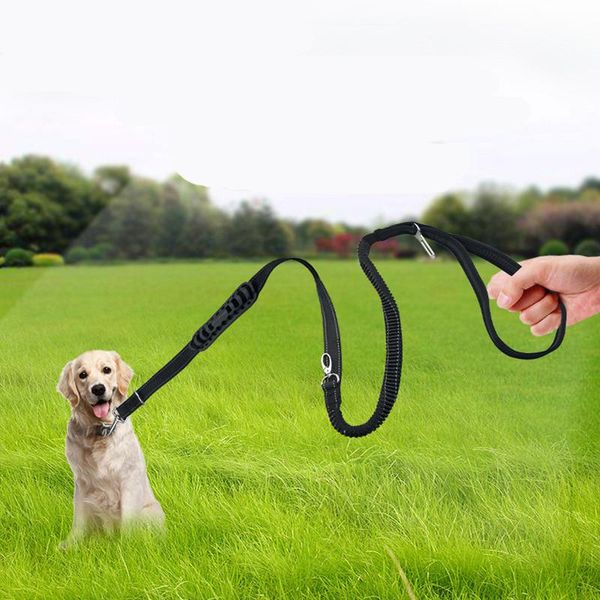 gomaomi pet dog leash seat belt adjustable cat safety leads vehicle car seatbelt harness with elastic bungee buffer collars & leashes
gomaomi pet dog leash seat belt adjustable cat safety leads vehicle car seatbelt harness with elastic bungee buffer collars & leashes