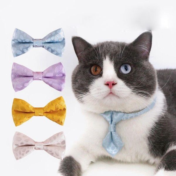 cat collars & leads leopard pattern cats collar adjustable anti-suffocation kitten necklace cute bowknot pets bowtie puppy neck strap access
cat collars & leads leopard pattern cats collar adjustable anti-suffocation kitten necklace cute bowknot pets bowtie puppy neck strap access