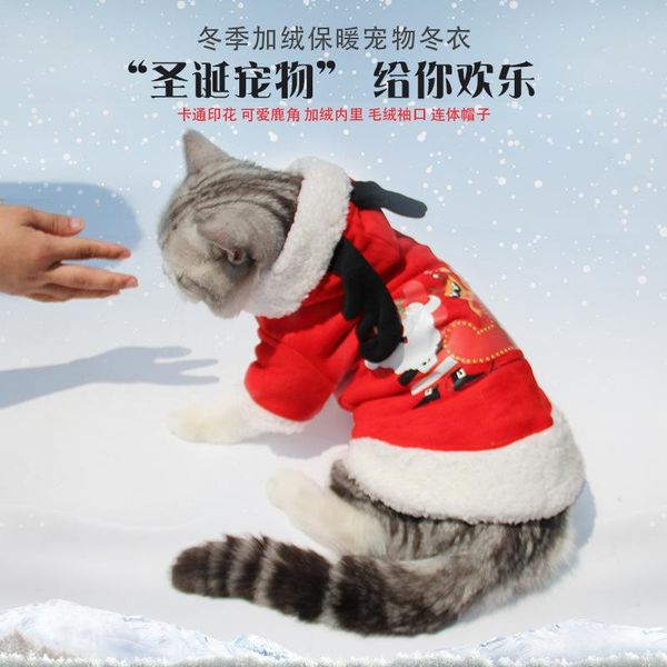 cat costumes clothes kitty cute funny pet suit english short kittens fall and winter halloween decoration supplies 
cat costumes clothes kitty cute funny pet suit english short kittens fall and winter halloween decoration supplies