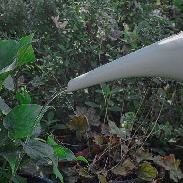 plastic long mouth flower watering can garden plants pot sprinkling plant tools hr equipments
plastic long mouth flower watering can garden plants pot sprinkling plant tools hr equipments