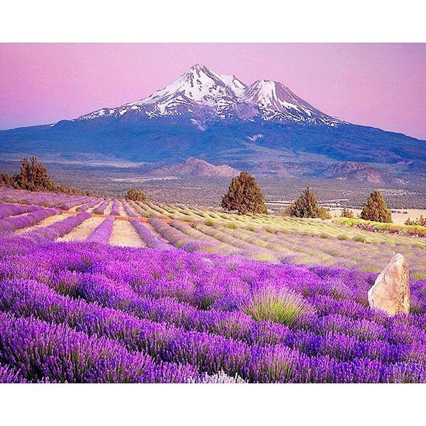 paintings gatyztory frame diy painting by numbers lavender landscape paint number handpainted wall decor gift
paintings gatyztory frame diy painting by numbers lavender landscape paint number handpainted wall decor gift