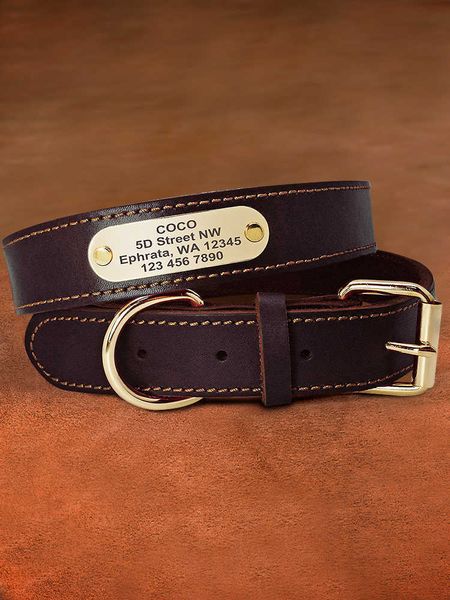 dog leather pet collar labrador border shepherd medium and large traction rope dog tag lettering to prevent lo
dog leather pet collar labrador border shepherd medium and large traction rope dog tag lettering to prevent lo