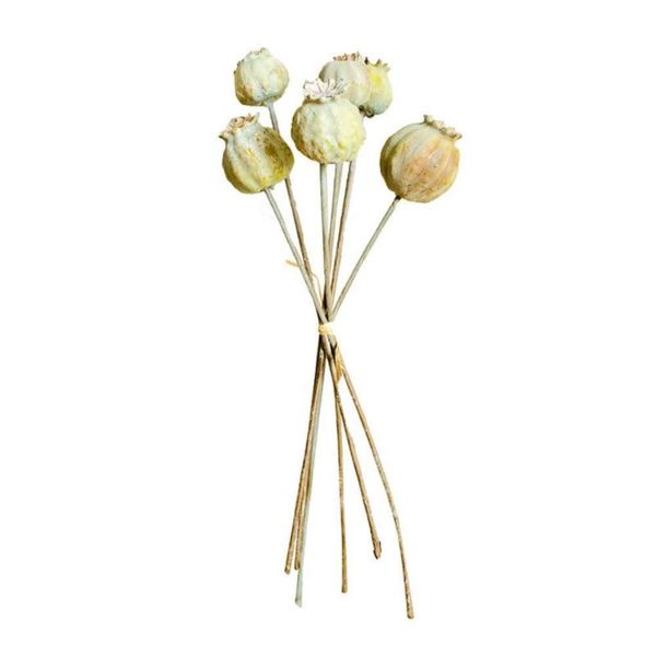 bouquet artificial dried fruit flower plants table fake flowers potted ornaments for home decoration el garden decor decorative & wreaths
bouquet artificial dried fruit flower plants table fake flowers potted ornaments for home decoration el garden decor decorative & wreaths