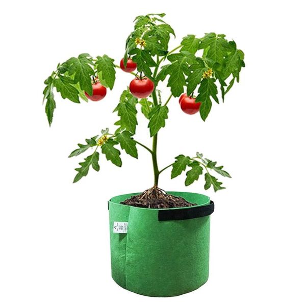 planters & pots 2/3/5/7/10 non-woven felt garden plant grow bags vegetable flower potato pot container diy planter
planters & pots 2/3/5/7/10 non-woven felt garden plant grow bags vegetable flower potato pot container diy planter