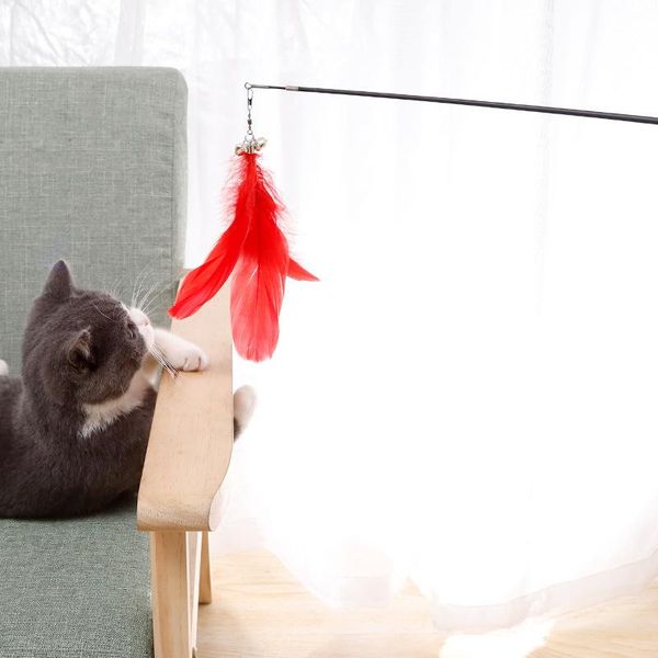 cat toys funny pole stick strengthened toughness carbon fiber wand and kitten interactive toy
cat toys funny pole stick strengthened toughness carbon fiber wand and kitten interactive toy