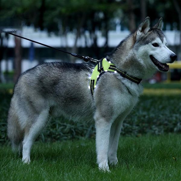 dog led harness pet safety walk vest walking supplies id custom patch outdoor nylon basic leashes bells solid collars &
dog led harness pet safety walk vest walking supplies id custom patch outdoor nylon basic leashes bells solid collars &