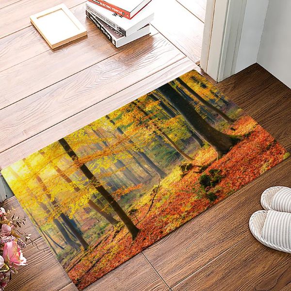 carpets forest maple nature family doormat kitchen living room floor rug bathroom non-slip foot mat entrance hall welcome carpet
carpets forest maple nature family doormat kitchen living room floor rug bathroom non-slip foot mat entrance hall welcome carpet