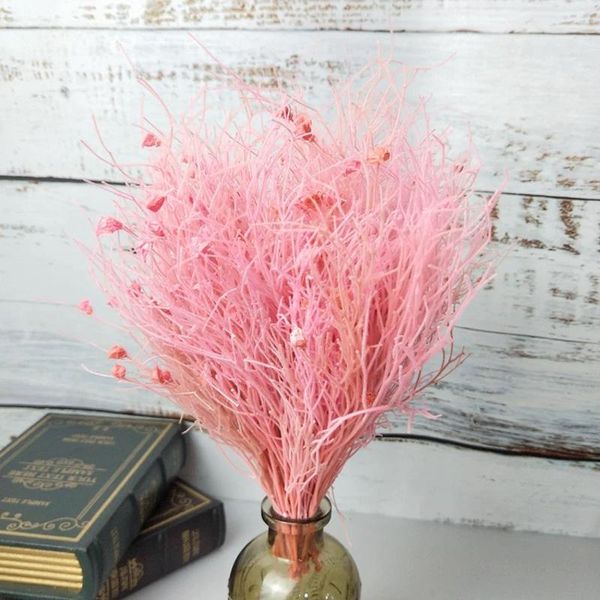 decorative flowers & wreaths preserved nature dream grass 23g/bunch 10-20cm,diy eternell floral,wedding favor marriage advent wreath home dr
decorative flowers & wreaths preserved nature dream grass 23g/bunch 10-20cm,diy eternell floral,wedding favor marriage advent wreath home dr