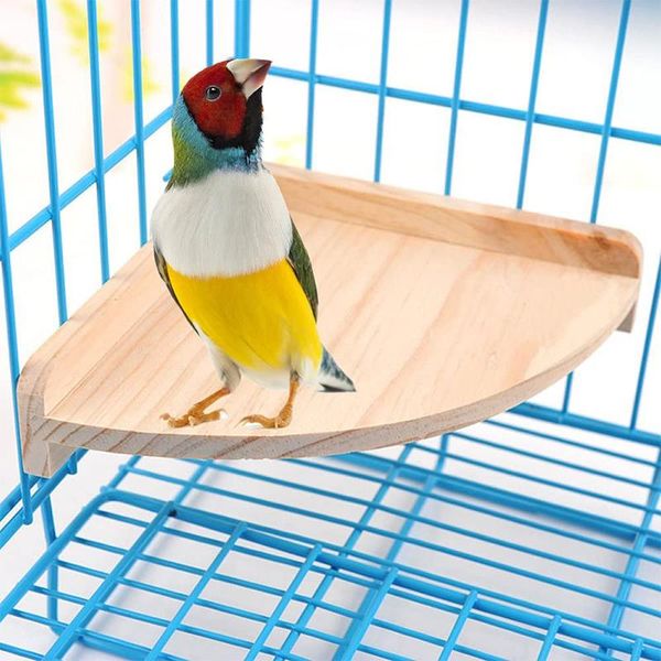 bird cages pet perch platform stand wood for small animals parrot parakeet conure budgie gerbil rat mouse chinchilla hamster cage
bird cages pet perch platform stand wood for small animals parrot parakeet conure budgie gerbil rat mouse chinchilla hamster cage