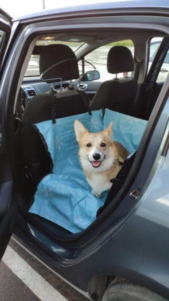 kennel pet carriers dog car seat cover carrying for dogs cats mat blanket rear back hammock protector transportin perro covers
kennel pet carriers dog car seat cover carrying for dogs cats mat blanket rear back hammock protector transportin perro covers