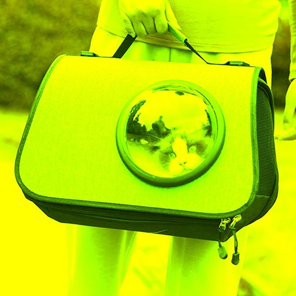 space pet cat carrier bags outdoor portable single shoulder bag puppy kitten oxford handbag backpack for small dog car seat covers
space pet cat carrier bags outdoor portable single shoulder bag puppy kitten oxford handbag backpack for small dog car seat covers