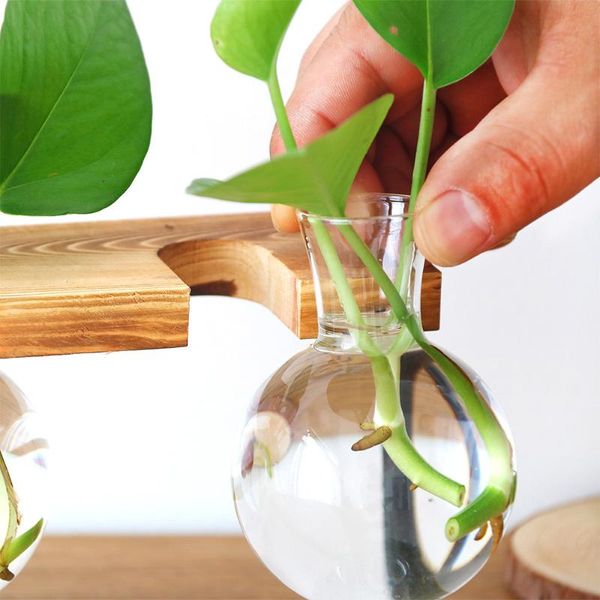 vases 2021 creative hydroponic plant transparent vase wooden frame coffee shop room decor home decoration accessories
vases 2021 creative hydroponic plant transparent vase wooden frame coffee shop room decor home decoration accessories