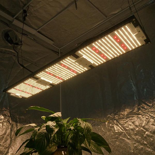 kingbrite 320w led pre-assembled samsung lm301h qb288 v4 board cree xp-e2 red 660nm ip65 waterproof grow light lights
kingbrite 320w led pre-assembled samsung lm301h qb288 v4 board cree xp-e2 red 660nm ip65 waterproof grow light lights