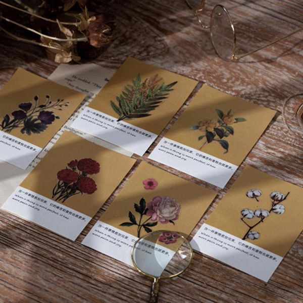 gift wrap set of 13 small retro scrapbook decor pack simulation flower plant half transparent decal collection for diy diary
gift wrap set of 13 small retro scrapbook decor pack simulation flower plant half transparent decal collection for diy diary
