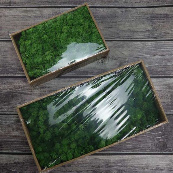 decorative flowers & wreaths 200g/500g 100% natural true dried moss party decoration home garden decor eternal flower diy house wedding
decorative flowers & wreaths 200g/500g 100% natural true dried moss party decoration home garden decor eternal flower diy house wedding