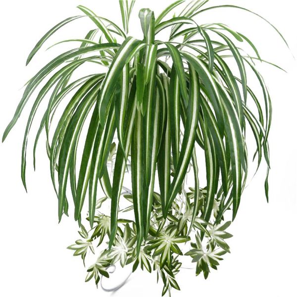 decorative flowers & wreaths artificial chlorophytum silk flower orchids plant wall mount simulation rattan decoratio
decorative flowers & wreaths artificial chlorophytum silk flower orchids plant wall mount simulation rattan decoratio