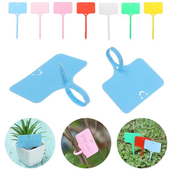 pots sorting markers writing classification seedling tags plant plateplant nursery shape t 100pcs garden decorations
pots sorting markers writing classification seedling tags plant plateplant nursery shape t 100pcs garden decorations