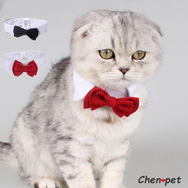 adjustable pet accessoires puppy dogs bow tie collar necktie bowknot bowtie holiday wedding decoration accessories dog apparel
adjustable pet accessoires puppy dogs bow tie collar necktie bowknot bowtie holiday wedding decoration accessories dog apparel