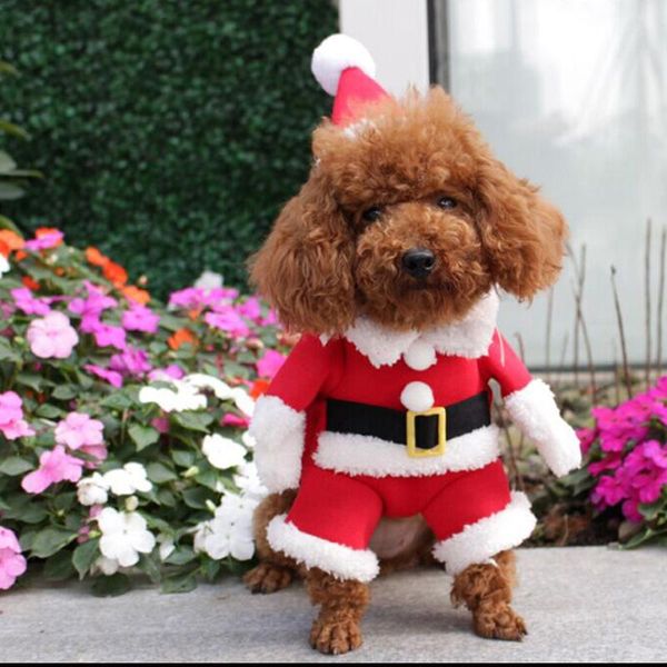 dog apparel apaulapet christmas pet cat clothes costume dress winter cotton&fleece cloth ropa para perros coat
dog apparel apaulapet christmas pet cat clothes costume dress winter cotton&fleece cloth ropa para perros coat