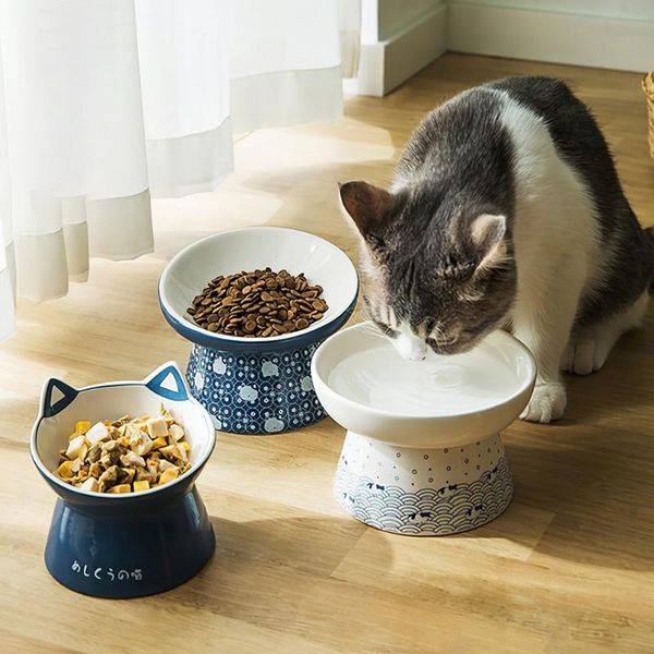 cat bowls & feeders high foot ceramic bowl neck protector pet food feeder water anti-overturning container dispenser supplies
cat bowls & feeders high foot ceramic bowl neck protector pet food feeder water anti-overturning container dispenser supplies